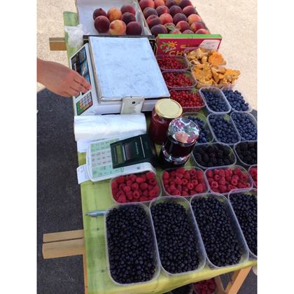 Elcom Euro-50TEi Mini WiFi  KBC0013 6